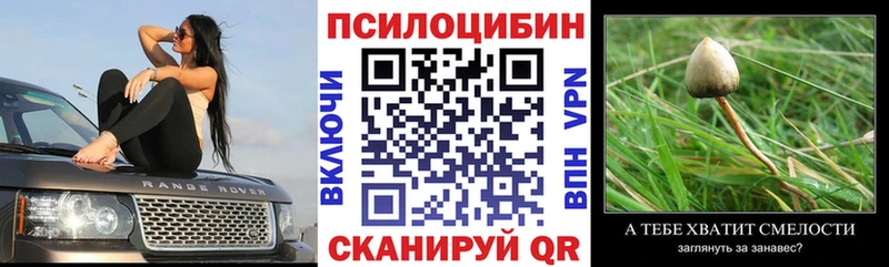 Купить где Пугачёв Галлюциногенные грибы ЛСД